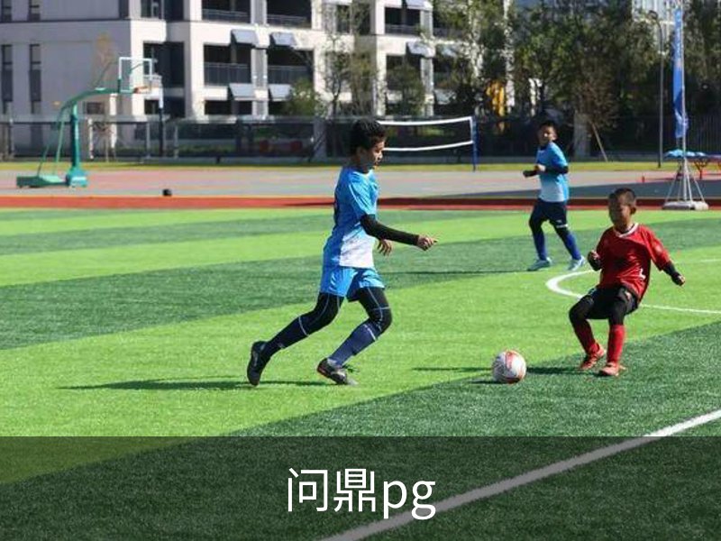问鼎PG· (国际)-官方网站